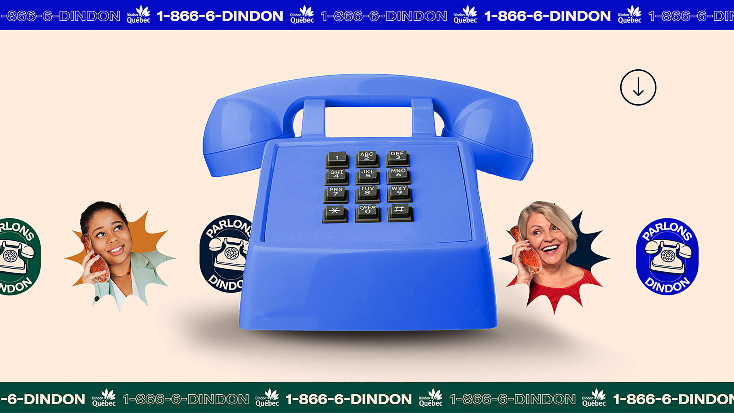 Des solutions complètement dindon
